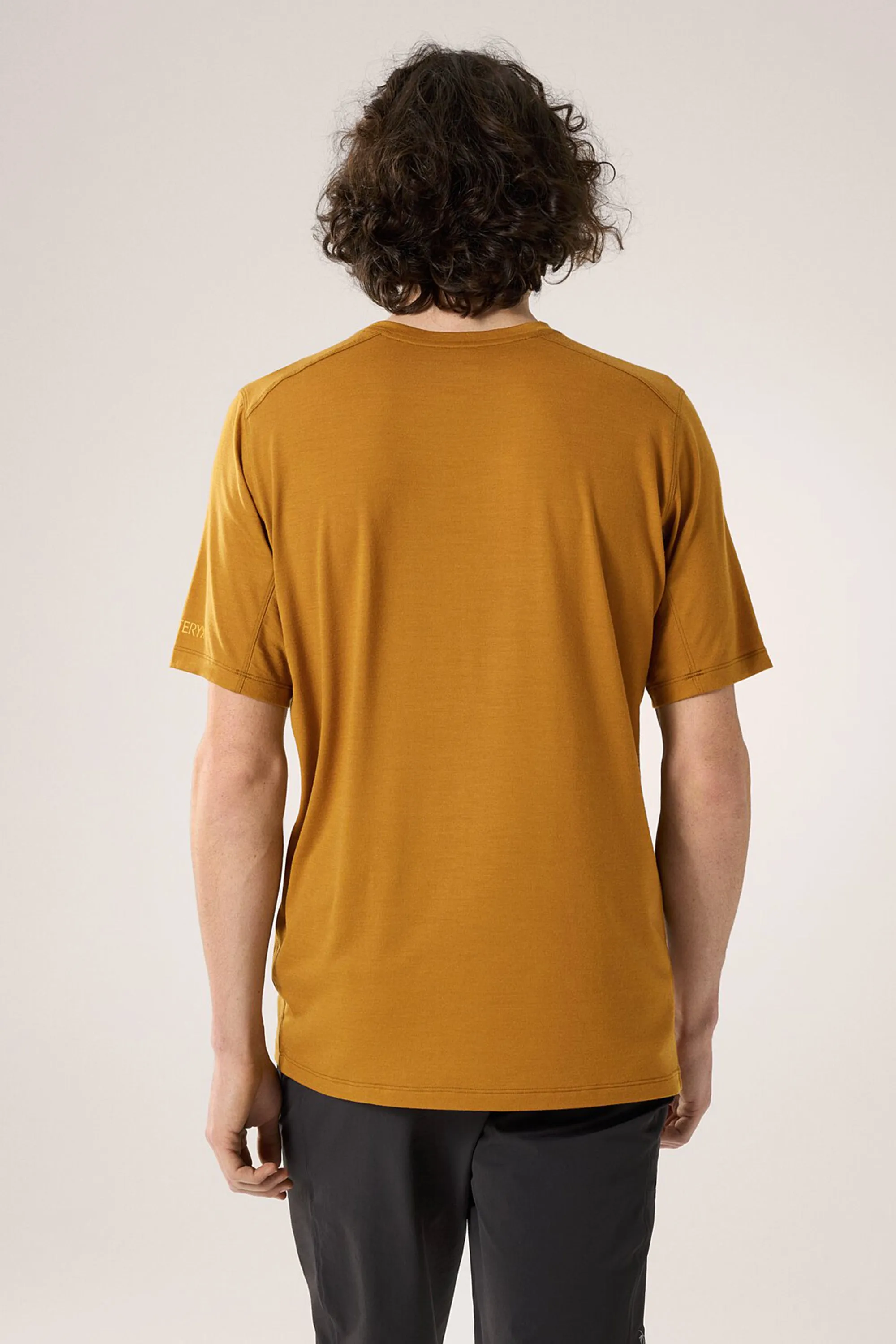 Arc'teryx Men's Ionia Merino Wool Logo SS T-Shirt in Yukon