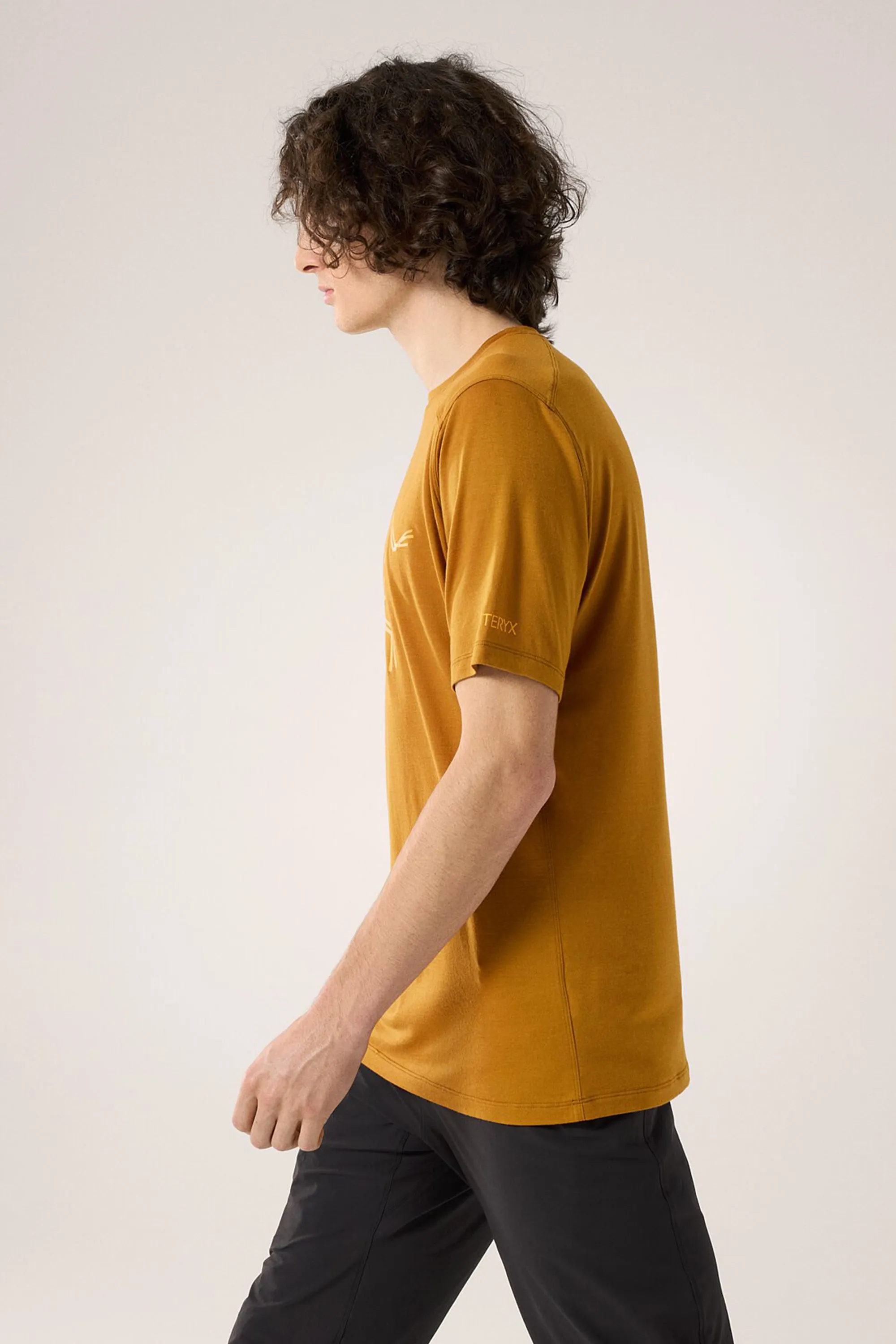 Arc'teryx Men's Ionia Merino Wool Logo SS T-Shirt in Yukon