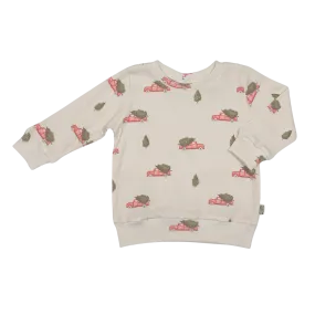 Baby en Kids Sweater Rib Kerst Auto Rood