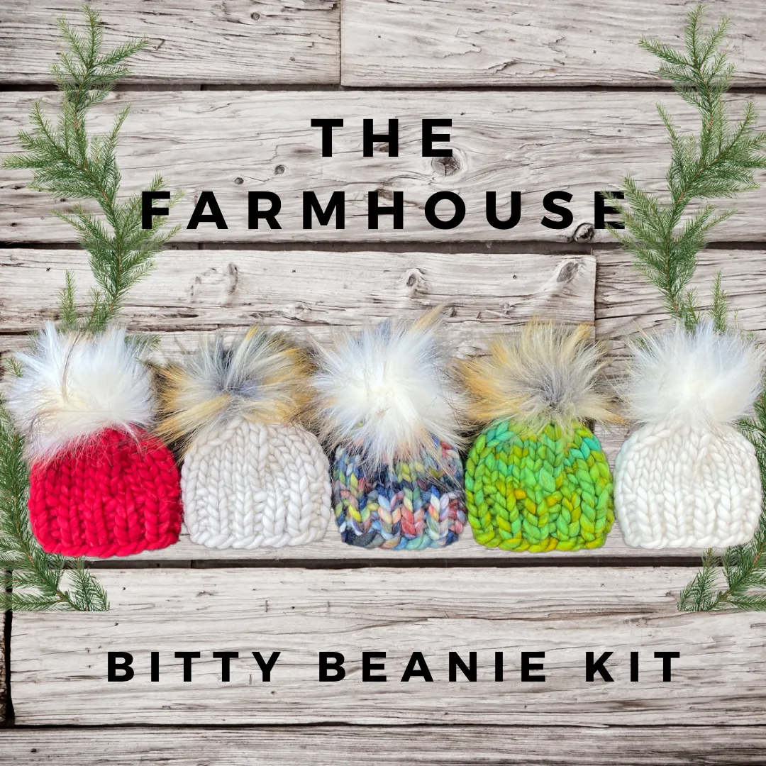 Bitty Beanies KNITTING KIT to make 5 bitty beanies super bulky gift holiday xmas winter