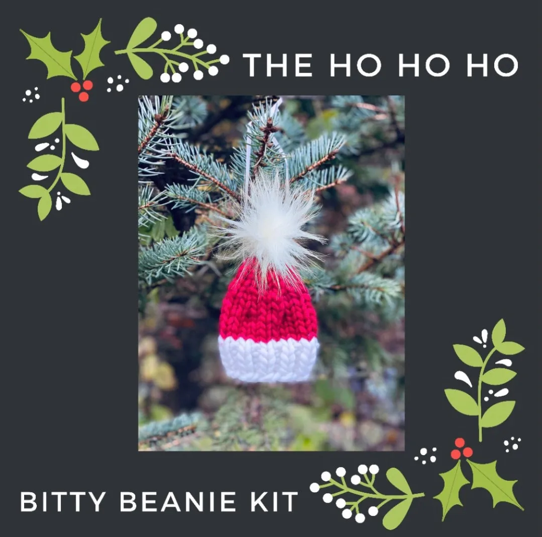 Bitty Beanies KNITTING KIT to make 5 bitty beanies super bulky gift holiday xmas winter