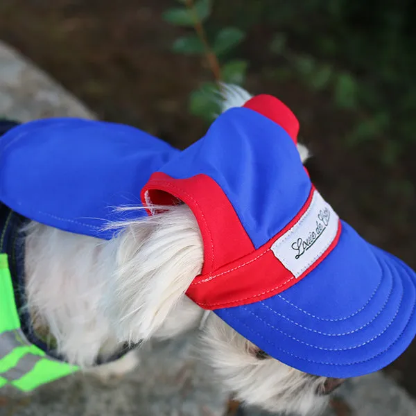 Cooling Dog Hat with UPF50  - Royal Blast