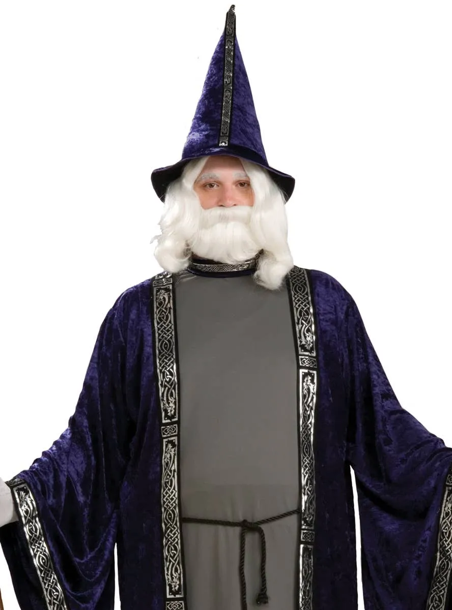 Deep Purple Mens Plus Size Merlin Wizard Costume