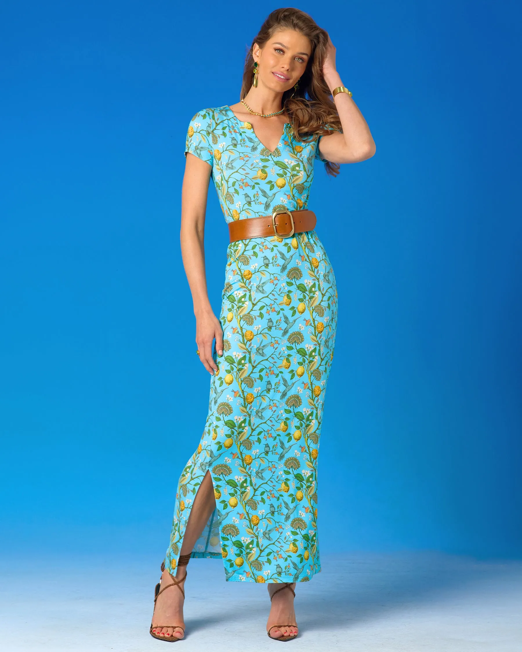 Flora Long Stretch Dress in Turquoise Hummingbird Print