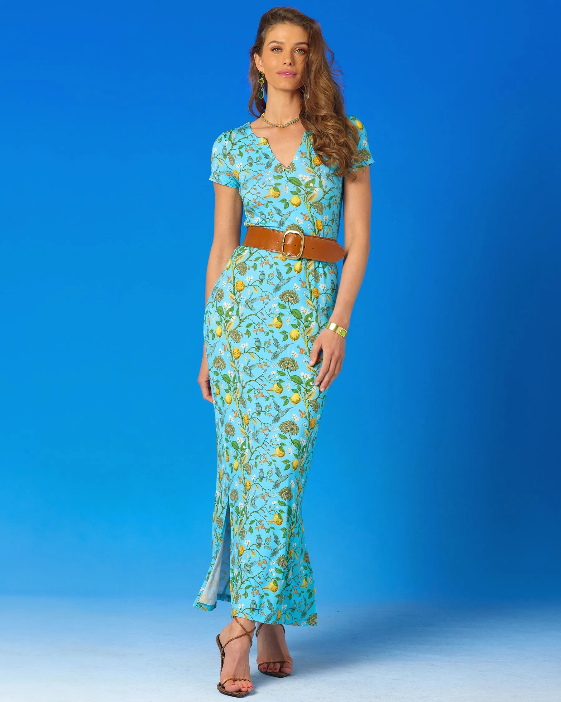 Flora Long Stretch Dress in Turquoise Hummingbird Print