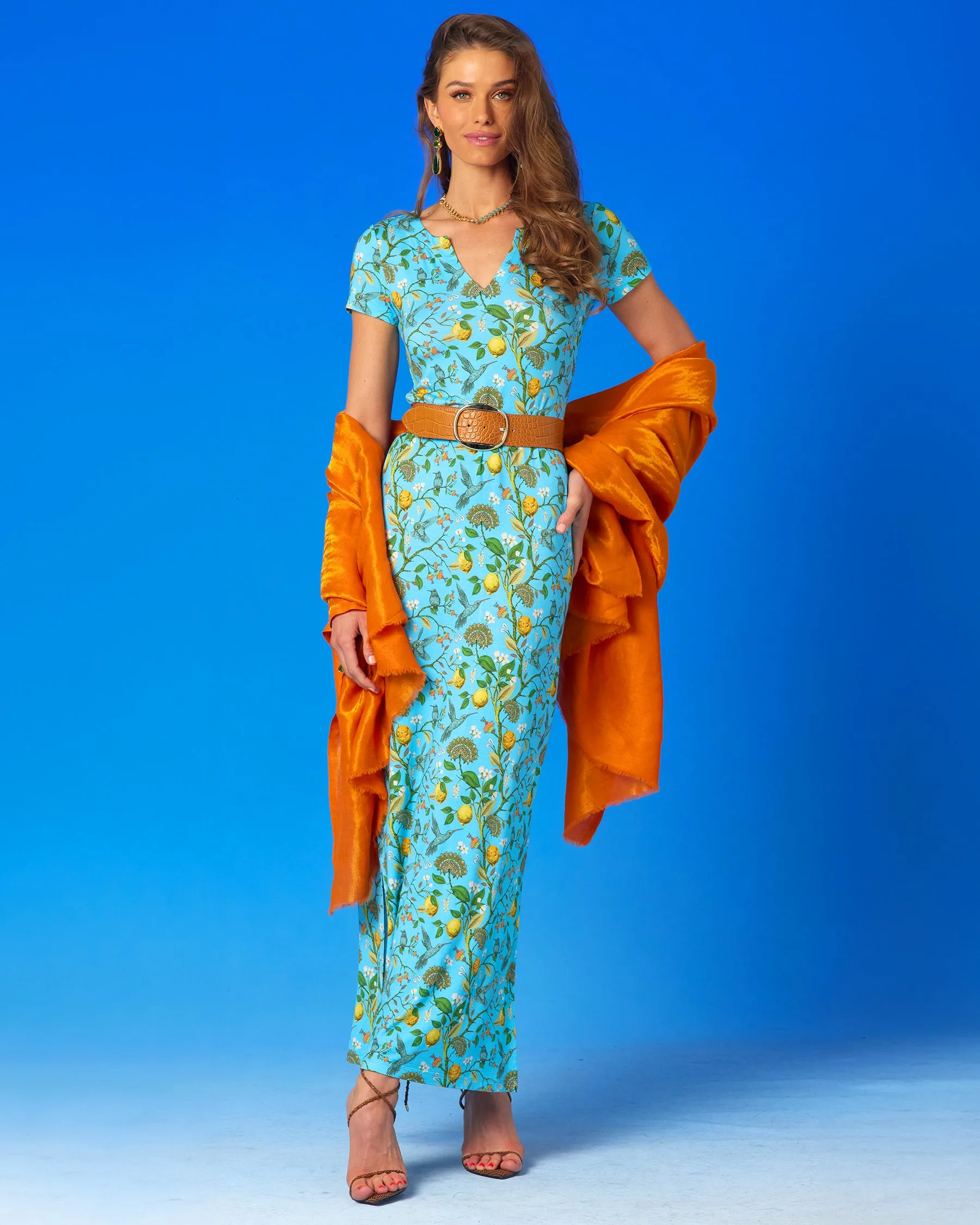 Flora Long Stretch Dress in Turquoise Hummingbird Print