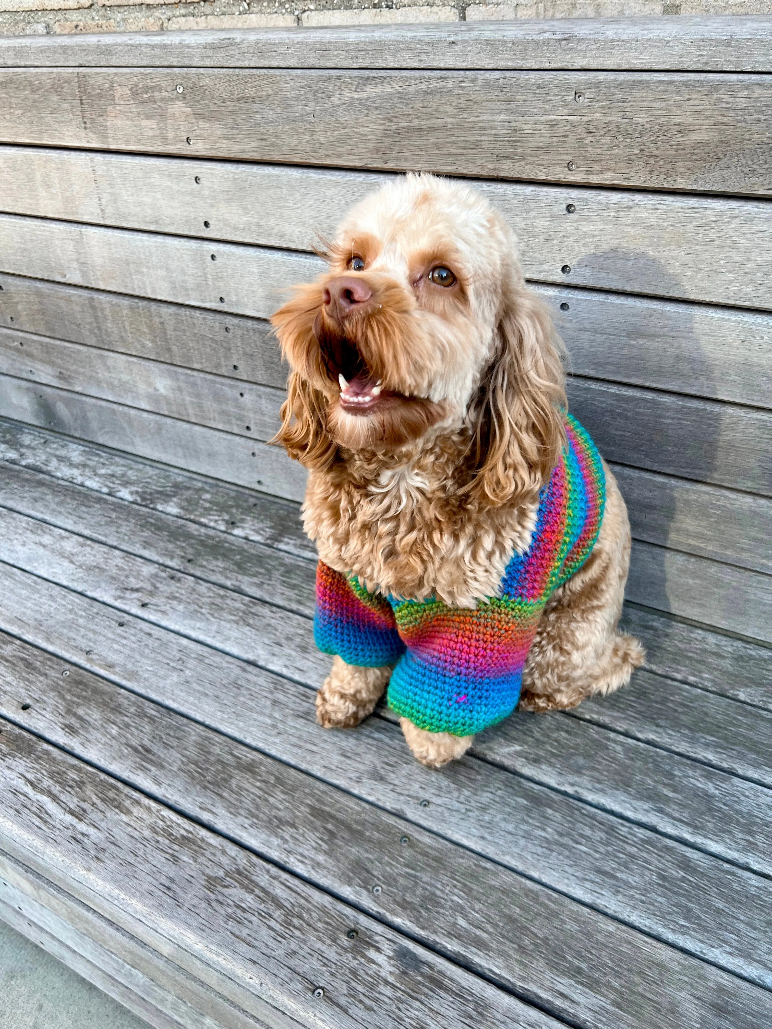 Kauai Top (Dog Sweater) Crochet Pattern