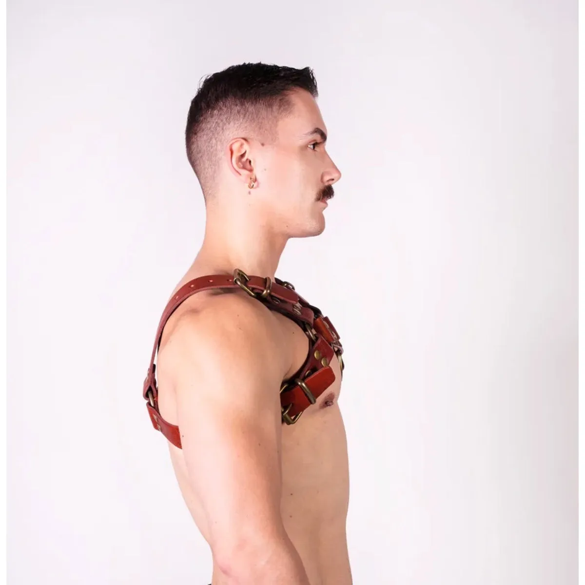 Prowler RED Leather Butch Harness Brown