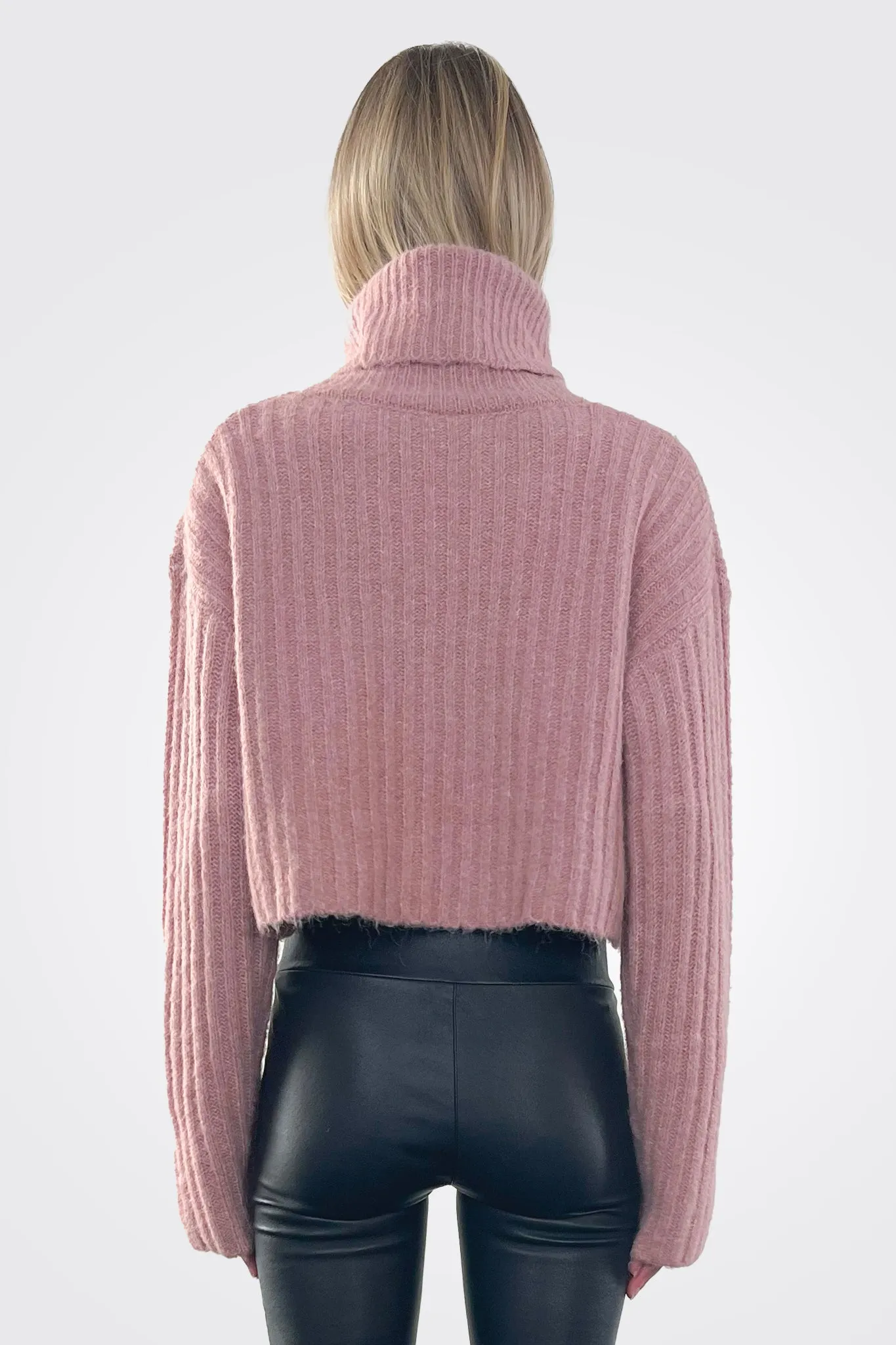 Rib Crop Turtleneck - Petal