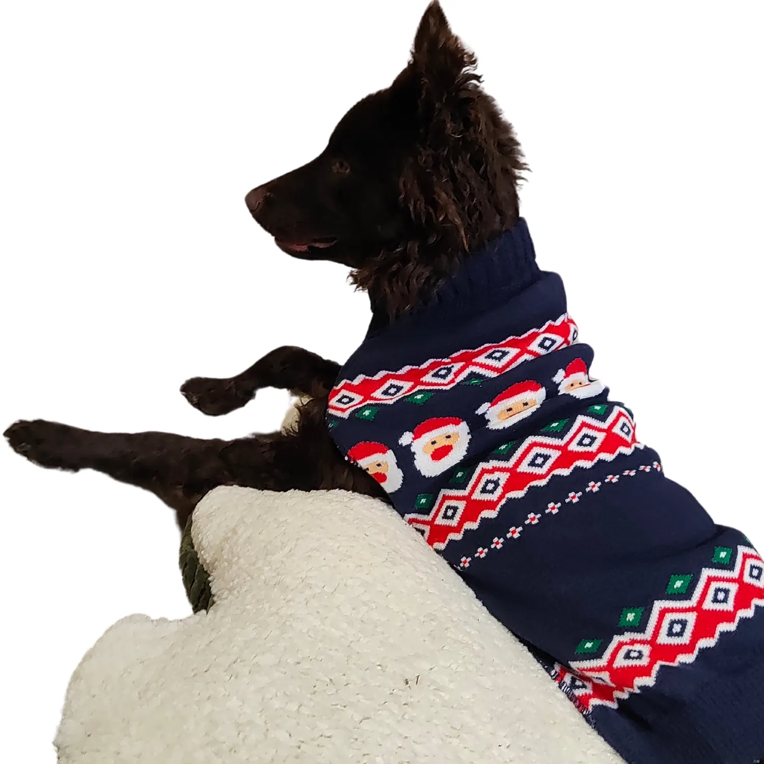 Santa Sweater | Christmas Dog Jumper by Happy Pet