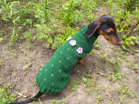 Sweater cactus for a dog, dachshund cactus knitted clothes for dogs