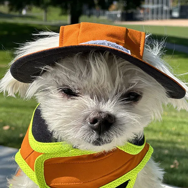 Waterproof Dog Hat - Sunset