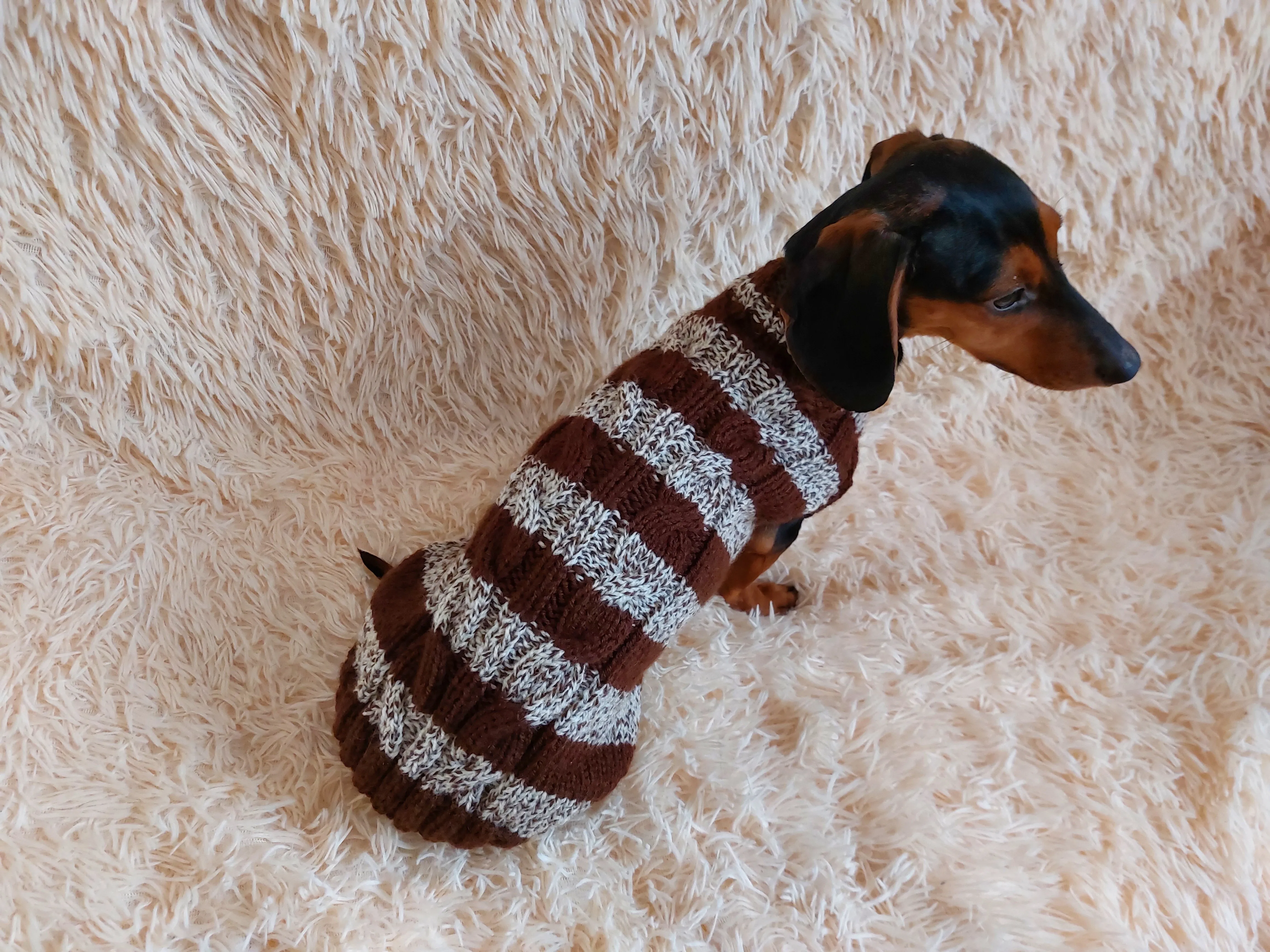 Wool warm pets striped sweater with arana ,warm clothes for mini dachshund