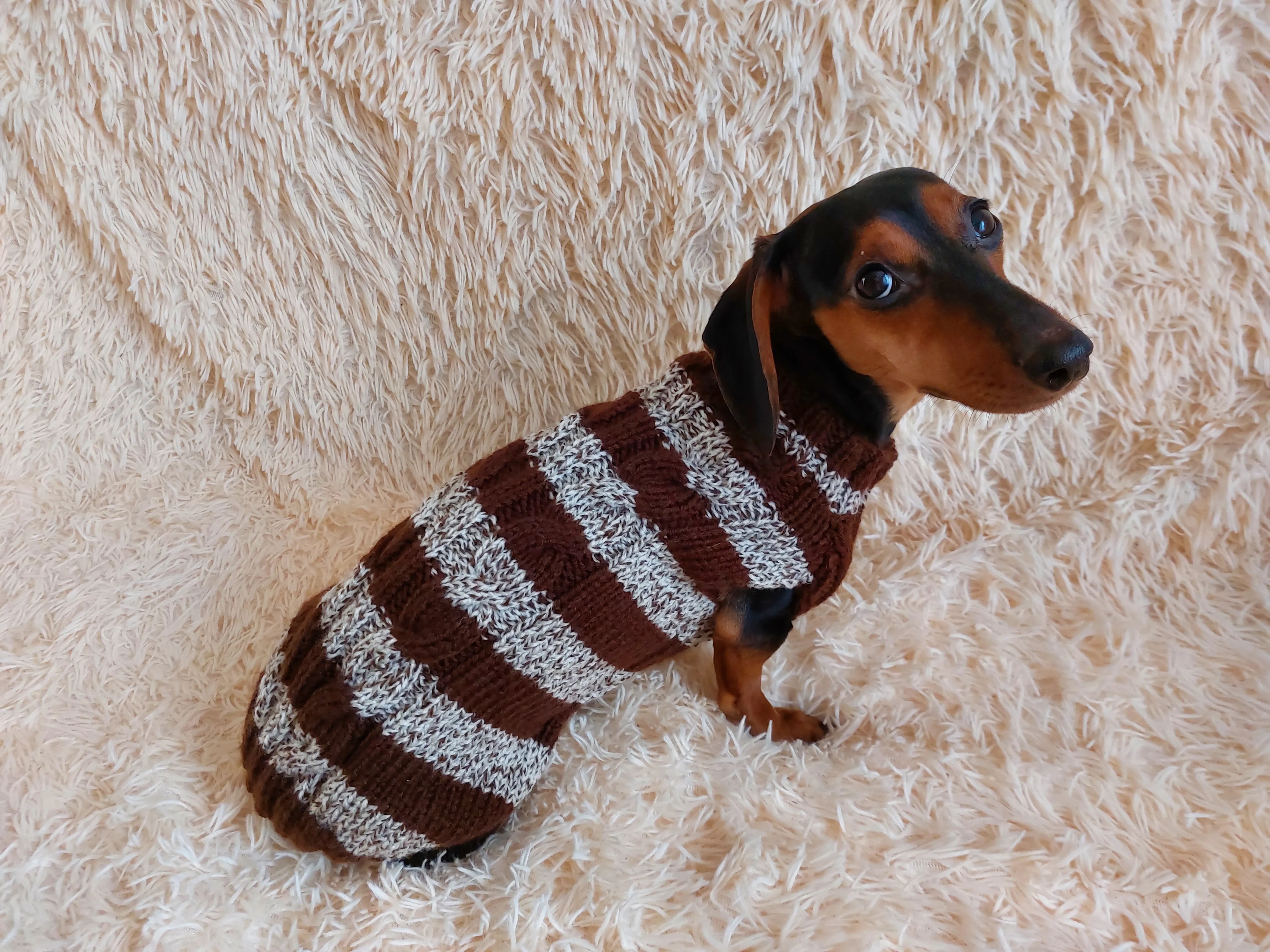 Wool warm pets striped sweater with arana ,warm clothes for mini dachshund