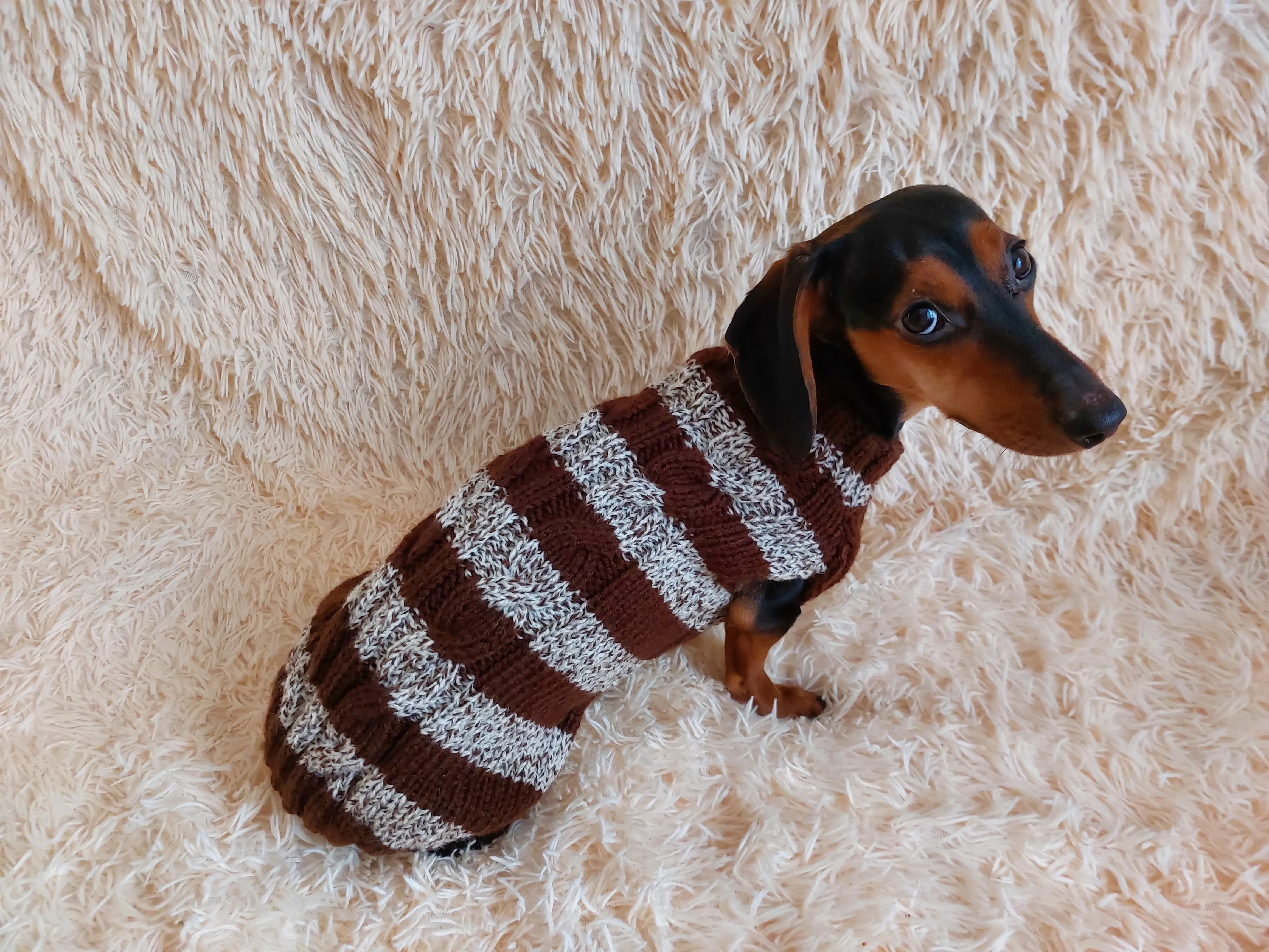 Wool warm pets striped sweater with arana ,warm clothes for mini dachshund